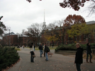 Campus Harvard Univiversity